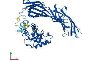 AlphaFold protein structure predicition of Mouse Recombinant Ap3m2 Protein, UniprotID Q8R2R9