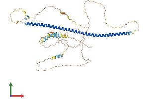 AlphaFold protein structure predicition of Human Recombinant SNPH Protein, UniprotID O15079