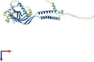 AlphaFold protein structure predicition of Human Recombinant ERGIC2 Protein, UniprotID Q96RQ1