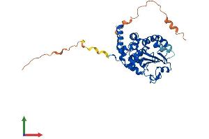 AlphaFold protein structure predicition of Human Recombinant TTPAL Protein, UniprotID Q9BTX7