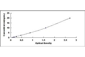 Typical standard curve (BIM Kit ELISA)
