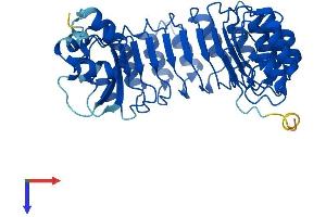 AlphaFold protein structure predicition of Mouse Recombinant Fbxl14 Protein, UniprotID Q8BID8