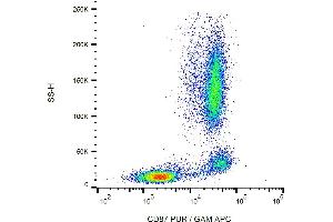 Flow cytometry analysis (surface staining) of human peripheral blood with anti-human CD87 (VIM5) purified, GAM-APC. (PLAUR anticorps)