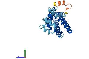 AlphaFold protein structure predicition of Human Recombinant CD81 Protein, UniprotID P60033