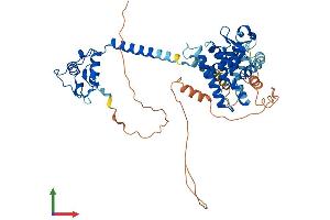 AlphaFold protein structure predicition of Mouse Recombinant Thra Protein, UniprotID P63058