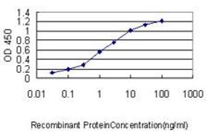Detection limit for recombinant GST tagged MPP3 is approximately 0. (MPP3 anticorps  (AA 1-585))