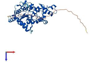 AlphaFold protein structure predicition of Human Recombinant CHST13 Protein, UniprotID Q8NET6
