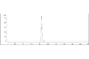 The purity of Anti-IL-6 / IFNb2 Reference Antibody (MEDI 5117) is 100 % , determined by SEC-HPLC. (Recombinant IL-6 anticorps)