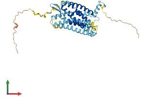 AlphaFold protein structure predicition of Human Recombinant CXCR2 Protein, UniprotID P25025