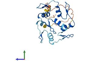 AlphaFold protein structure predicition of Human Recombinant ZNF876P Protein, UniprotID Q49A33