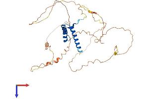AlphaFold protein structure predicition of Mouse Recombinant Hoxa13 Protein, UniprotID Q62424