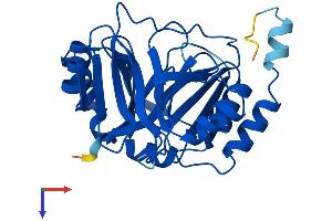 AlphaFold protein structure predicition of Mouse Recombinant Glod4 Protein, UniprotID Q9CPV4