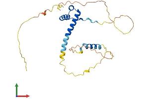 AlphaFold protein structure predicition of Mouse Recombinant Prrx1 Protein, UniprotID P63013