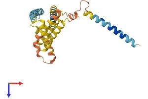 AlphaFold protein structure predicition of Human Recombinant BRI3BP Protein, UniprotID Q8WY22