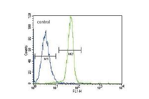 Flow cytometric analysis of K562 cells (right histogram) compared to a negative control cell (left histogram). (Leptin Receptor anticorps  (N-Term))