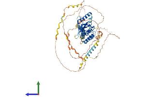 AlphaFold protein structure predicition of Human Recombinant OTUD5 Protein, UniprotID Q96G74