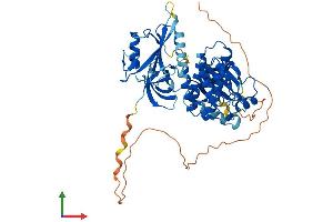 AlphaFold protein structure predicition of Mouse Recombinant Txk Protein, UniprotID P42682