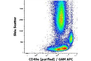 Flow cytometry surface staining pattern of human peripheral whole blood stained using anti-human CD49e (SAM1) purified antibody (concentration in sample 1,7 μg/mL, GAM APC). (ITGA5 anticorps)