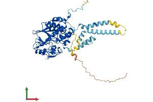 AlphaFold protein structure predicition of Human Recombinant PPP3CC Protein, UniprotID P48454