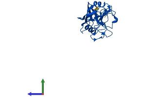 AlphaFold protein structure predicition of Human Recombinant PPIC Protein, UniprotID P45877