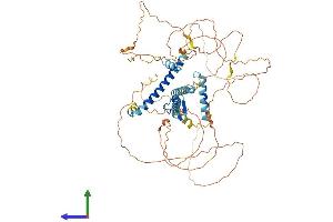 AlphaFold protein structure predicition of Mouse Recombinant Gatad2a Protein, UniprotID Q8CHY6