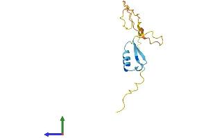 AlphaFold protein structure predicition of Mouse Recombinant Ripply2 Protein, UniprotID Q2WG76