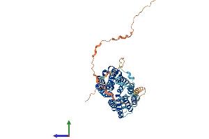 AlphaFold protein structure predicition of Mouse Recombinant Slc16a8 Protein, UniprotID O35308