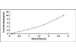 Typical standard curve (HIF1A Kit ELISA)