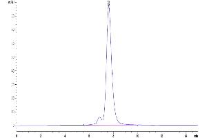 The purity of Biotinylated Human GITR Ligand/TNFSF18 Trimer is greater than 95 % as determined by SEC-HPLC.