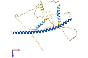 AlphaFold protein structure predicition of Human Recombinant PAWR Protein, UniprotID Q96IZ0