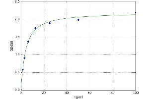 Sorbitol Dehydrogenase (SORD) ELISA Kit