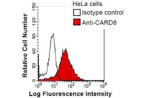 HeLa cells were fixed in 2% paraformaldehyde/PBS and then permeabilized in 90% methanol. (CARD8 anticorps)