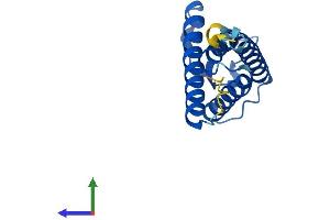 AlphaFold protein structure predicition of Human Recombinant SYS1 Protein, UniprotID Q8N2H4