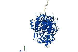 AlphaFold protein structure predicition of Mouse Recombinant Fggy Protein, UniprotID A2AJL3