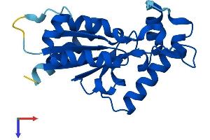 AlphaFold protein structure predicition of Mouse Recombinant Nmrk2 Protein, UniprotID Q9D7C9