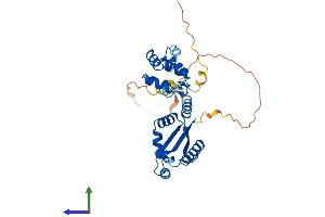 AlphaFold protein structure predicition of Human Recombinant DEDD Protein, UniprotID O75618