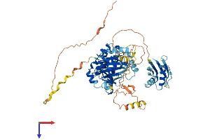 AlphaFold protein structure predicition of Mouse Recombinant Stk39 Protein, UniprotID Q9Z1W9