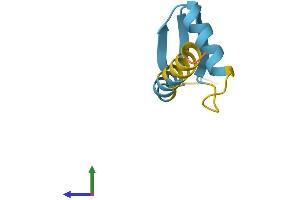 AlphaFold protein structure predicition of Human Recombinant GTF2H5 Protein, UniprotID Q6ZYL4