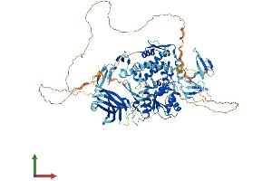 AlphaFold protein structure predicition of Human Recombinant WWP1 Protein, UniprotID Q9H0M0