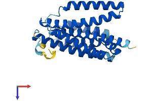 Transmembrane BAX Inhibitor Motif Containing 6 (TMBIM6) (AA 1-237) protein (His tag)