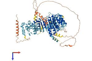 AlphaFold protein structure predicition of Human Recombinant LRRC41 Protein, UniprotID Q15345
