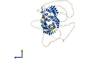 AlphaFold protein structure predicition of Mouse Recombinant Cdc27 Protein, UniprotID A2A6Q5
