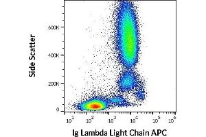 Flow cytometry surface staining pattern of human peripheral whole blood stained using anti-human Ig Lambda Light Chain (4C2) APC (10 μL reagent / 100 μL of peripheral whole blood). (Lambda-IgLC anticorps  (APC))
