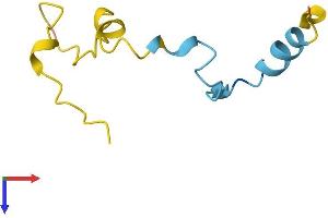 AlphaFold protein structure predicition of Human Recombinant CAMK2N1 Protein, UniprotID Q7Z7J9