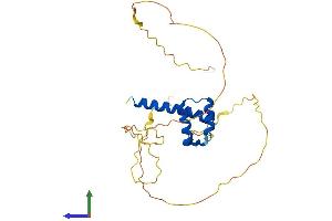 AlphaFold protein structure predicition of Human Recombinant HOXD12 Protein, UniprotID P35452