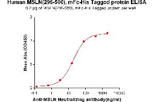 ELISA plate pre-coated by 2 μg/mL (100 μL/well) Human Mesothelin, mFc-His tagged protein (ABIN6961104) can bind Anti-Mesothelin Neutralizing antibody in a linear range of 3. (Mesothelin Protein (MSLN) (AA 296-580) (mFc-His Tag))
