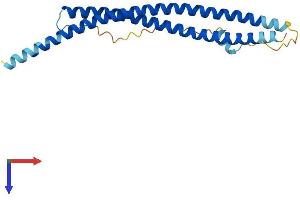 Synaptosomal-Associated Protein, 25kDa (SNAP25) (AA 1-206) protein (His tag)
