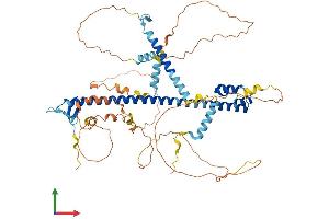 AlphaFold protein structure predicition of Human Recombinant NFE2L2 Protein, UniprotID Q16236