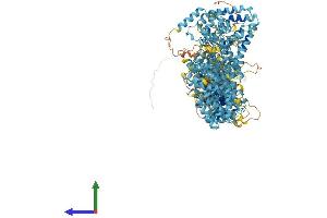 AlphaFold protein structure predicition of Human Recombinant FANCA Protein, UniprotID O15360
