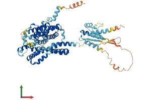 AlphaFold protein structure predicition of Human Recombinant SLC26A7 Protein, UniprotID Q8TE54